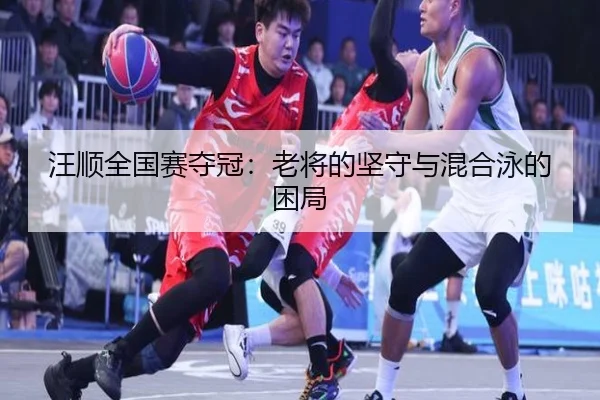 wang-shun-quan-guo-sai-duo-guan-lao-jiang-de-jian-shou-yu-hun-he-yong-de-kun-ju-2-616.jpg